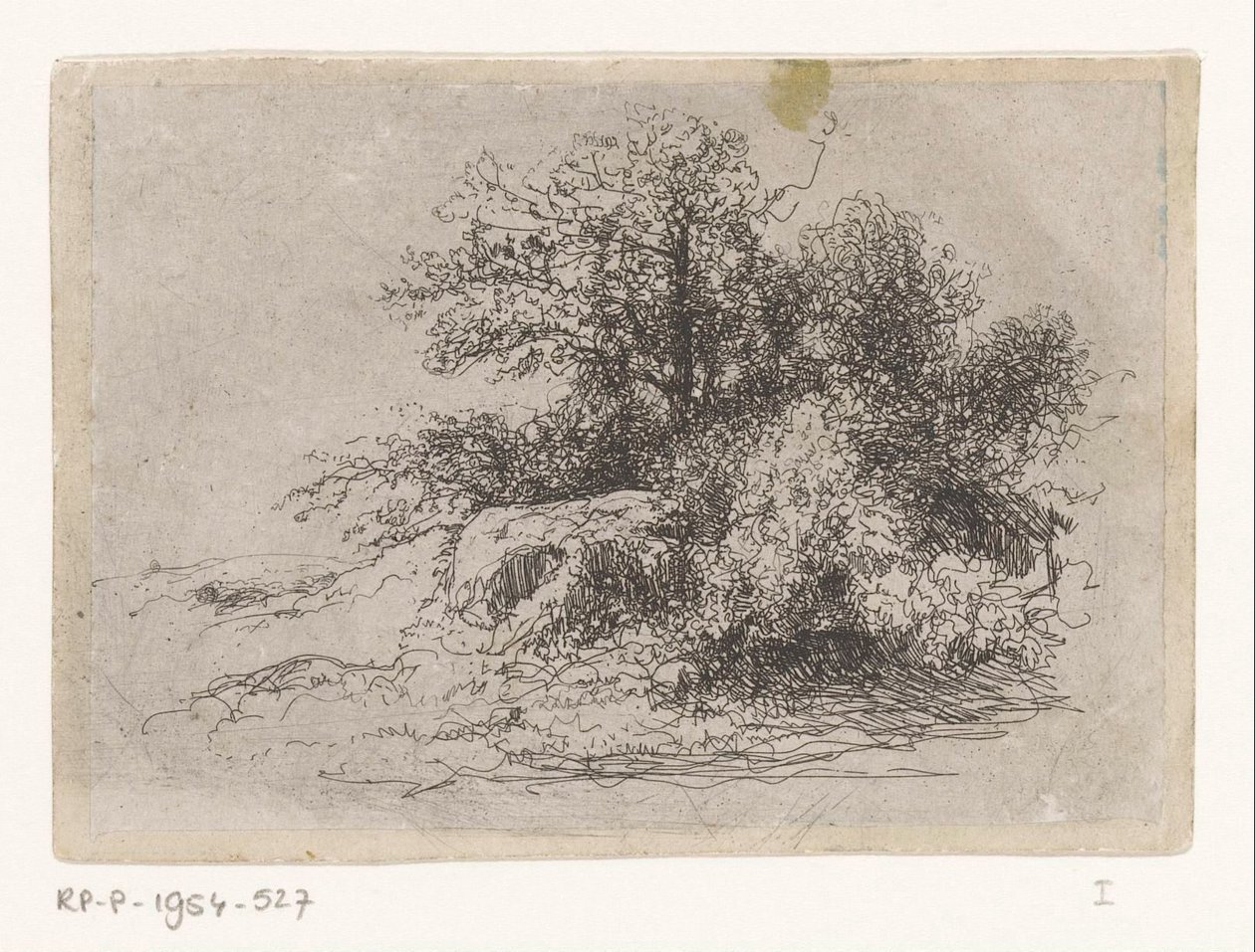 Buisson - Jean Alexis Achard
