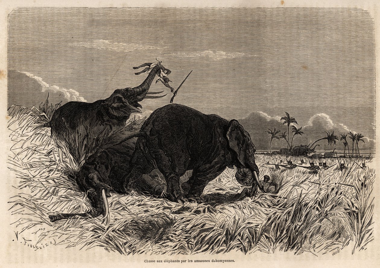 La chasse aux éléphants par les Amazones du Dahomey - Jean Antoine Valentin Foulquier