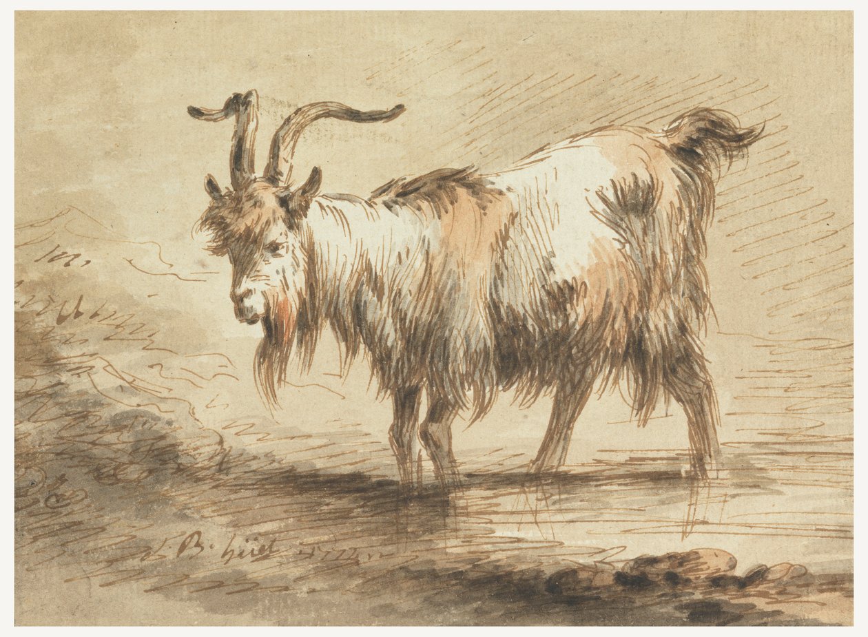 Étude d