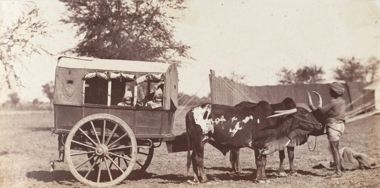 [Les jumeaux Campbell dans un Shigram, Camp du Gouverneur Général], 1858-61 - Jean Baptiste Oscar Mallitte