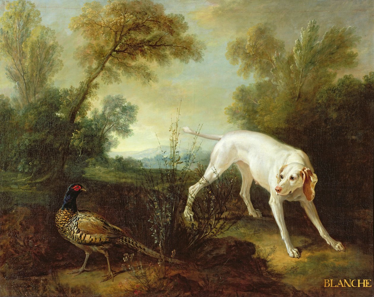 Blanche, chienne de la meute royale - Jean Baptiste Oudry