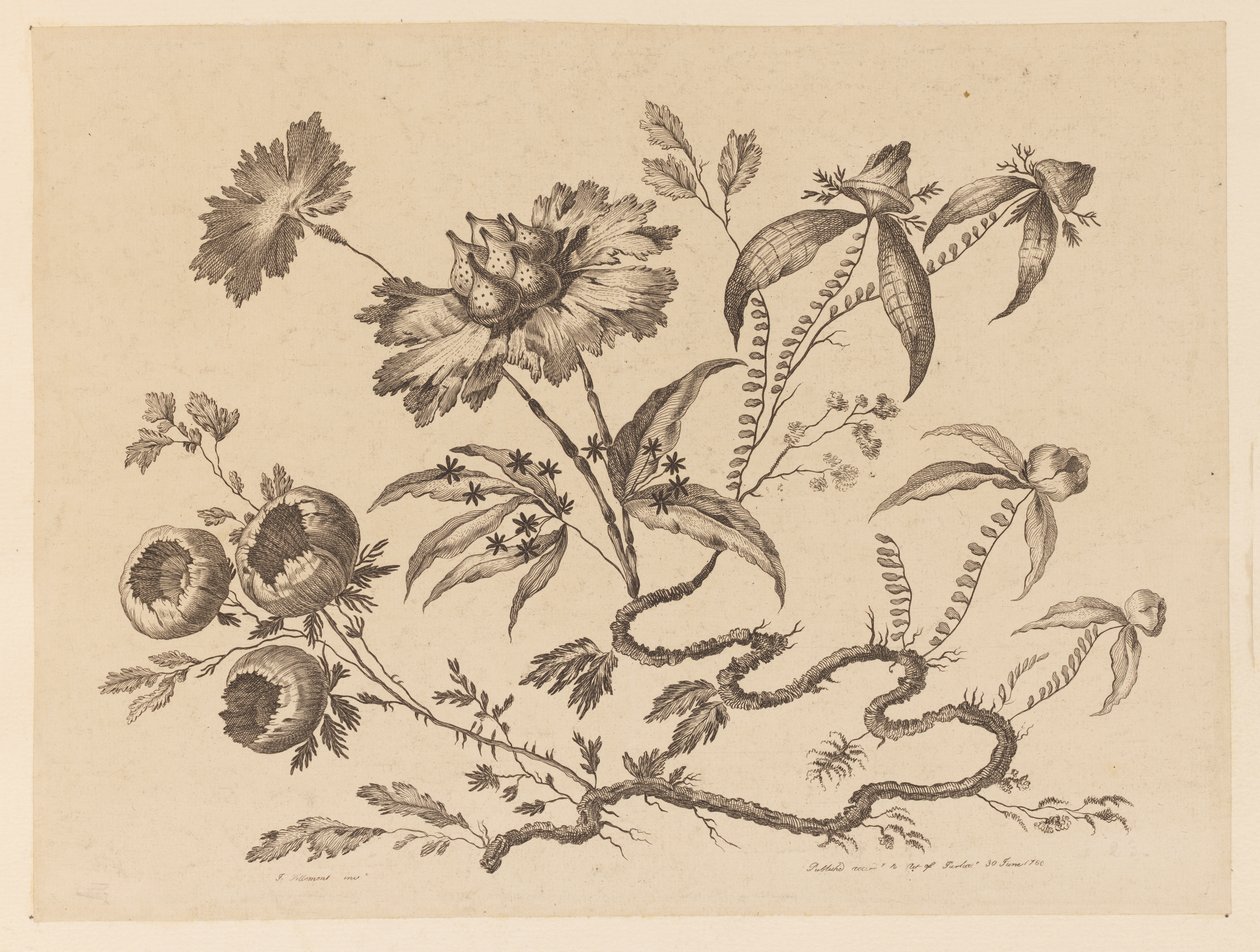 Brindilles de fleurs, de "Recueil de Differentes Fleurs de Fantaisie Dans le Goût Chinois" - Jean Baptiste Pillement