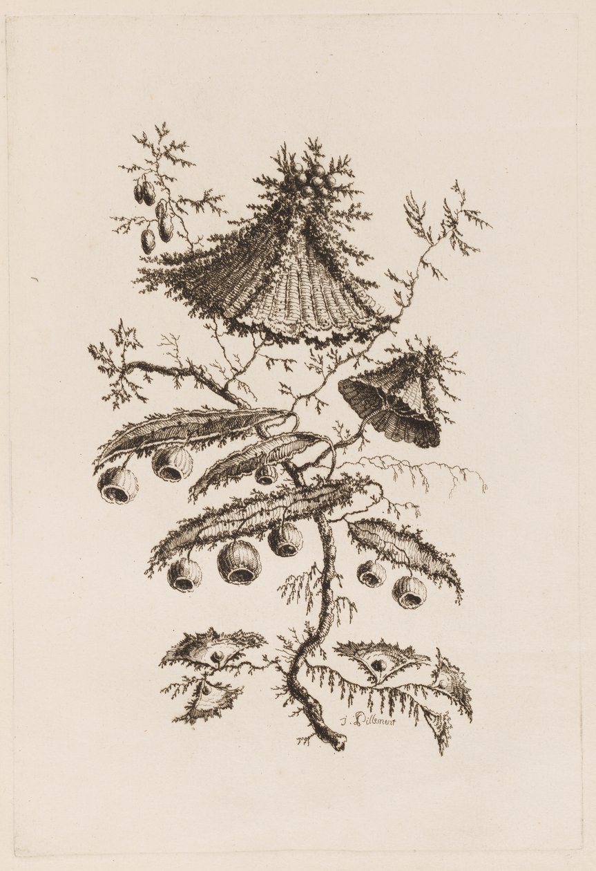 Branche de fleurs, de "Fleures Persannes" - Jean Baptiste Pillement