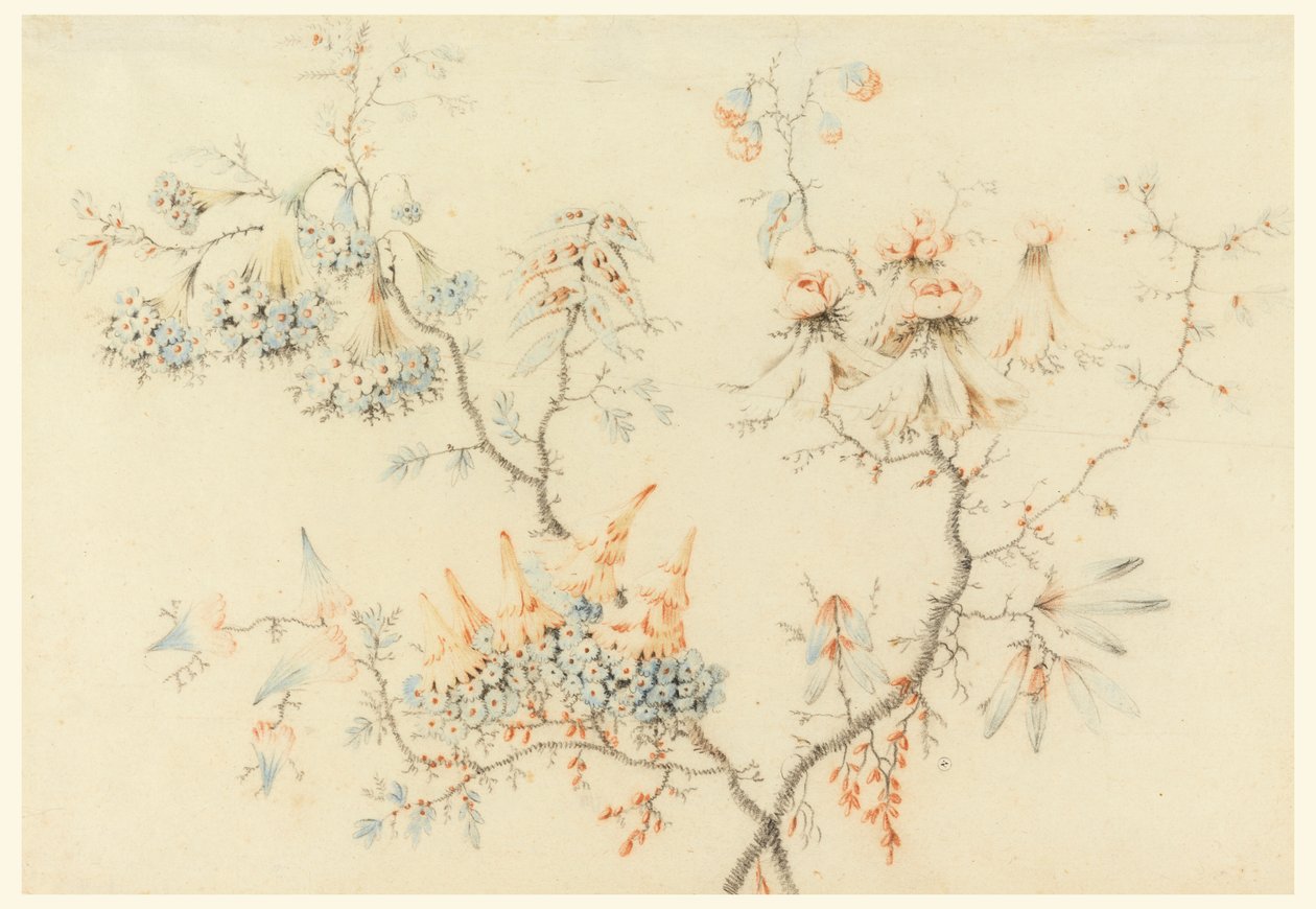 Branches fleuries - Jean Baptiste Pillement