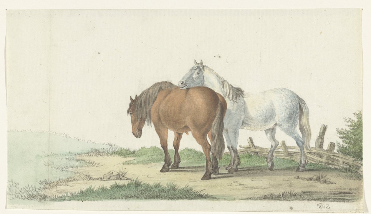 Un cheval brun et un cheval blanc sur un chemin près d