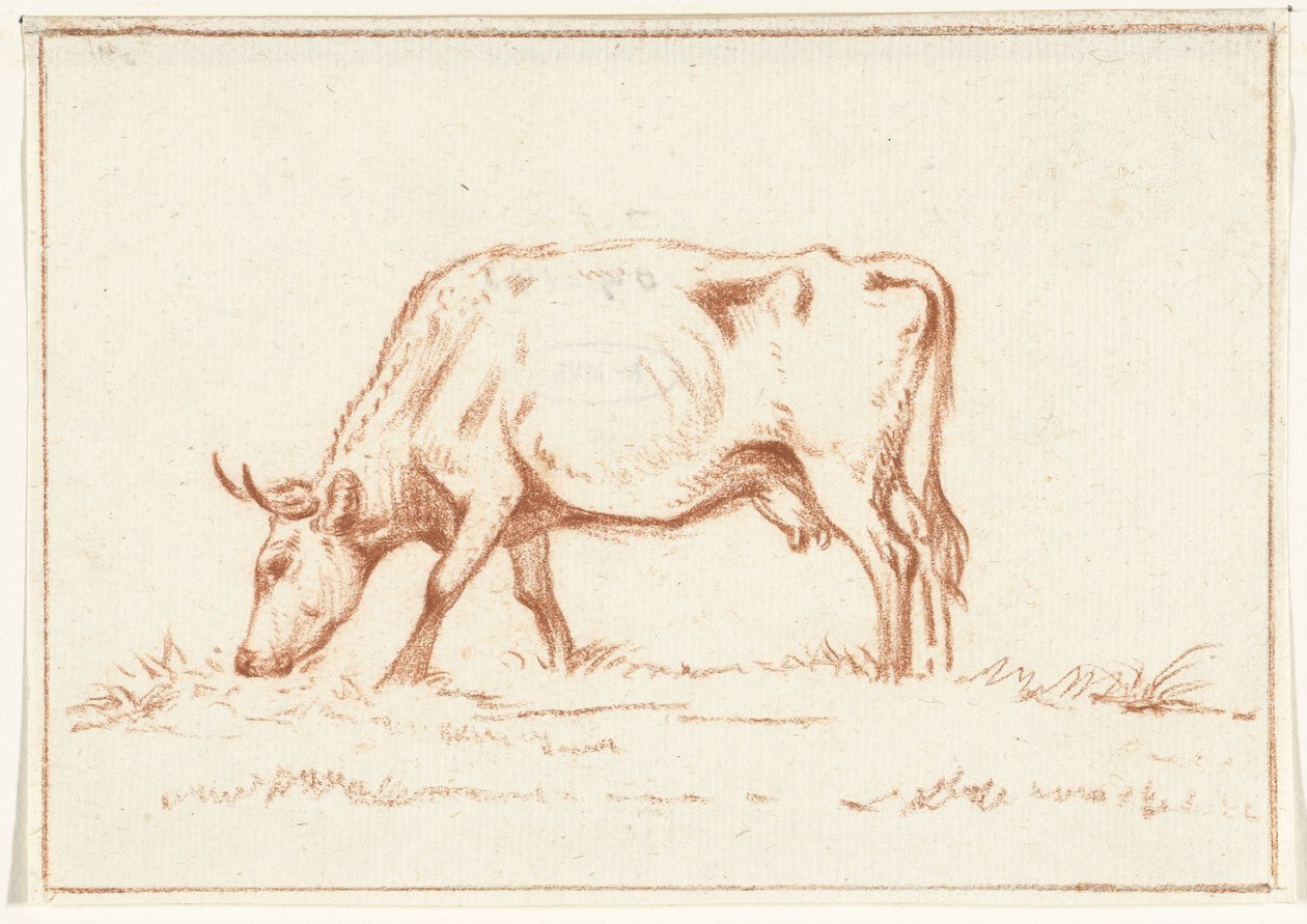 Vache broutant, vers la gauche - Jean Bernard