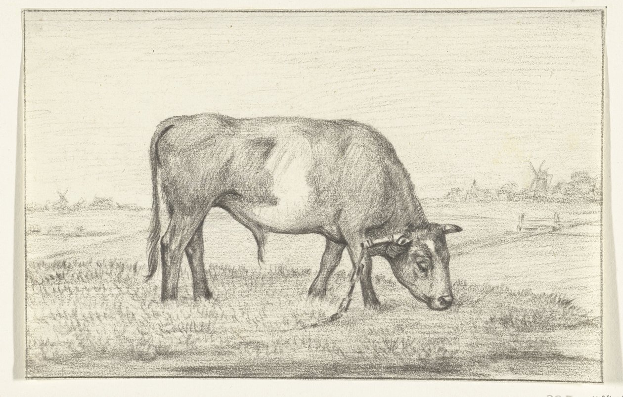 Taureau broutant dans un pré, vers la droite - Jean Bernard