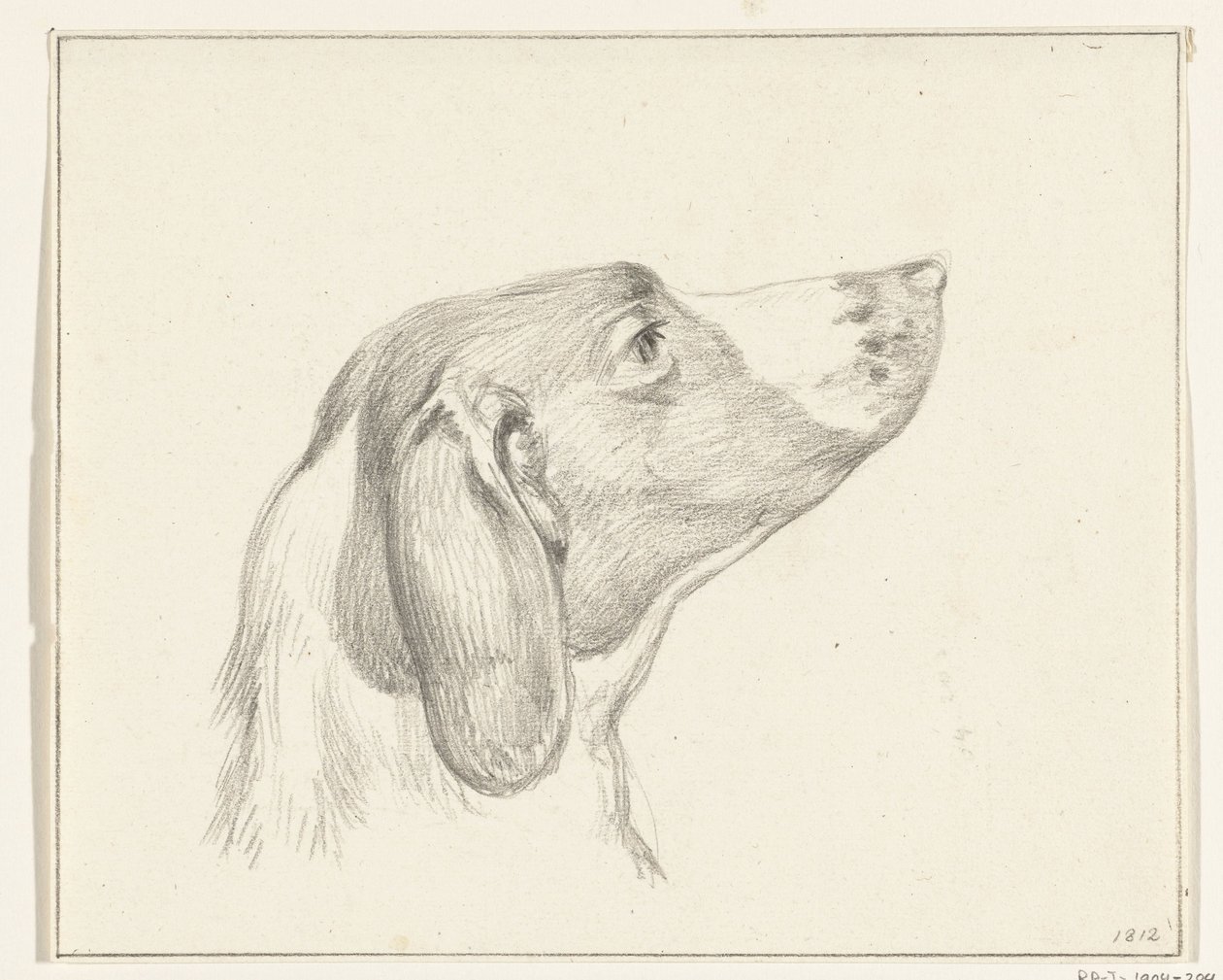 Tête de chien, vers la droite - Jean Bernard
