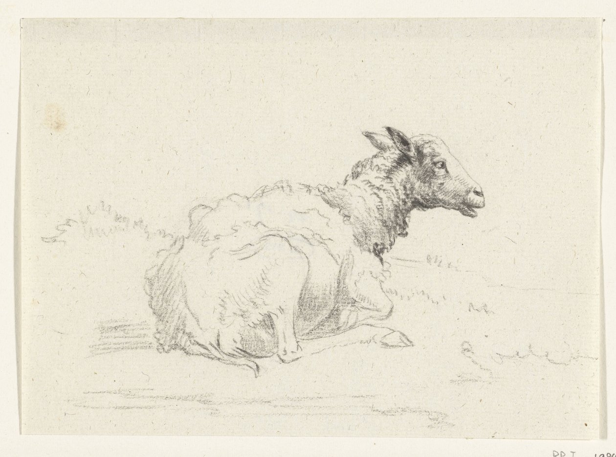 Mouton couché, vers la droite - Jean Bernard