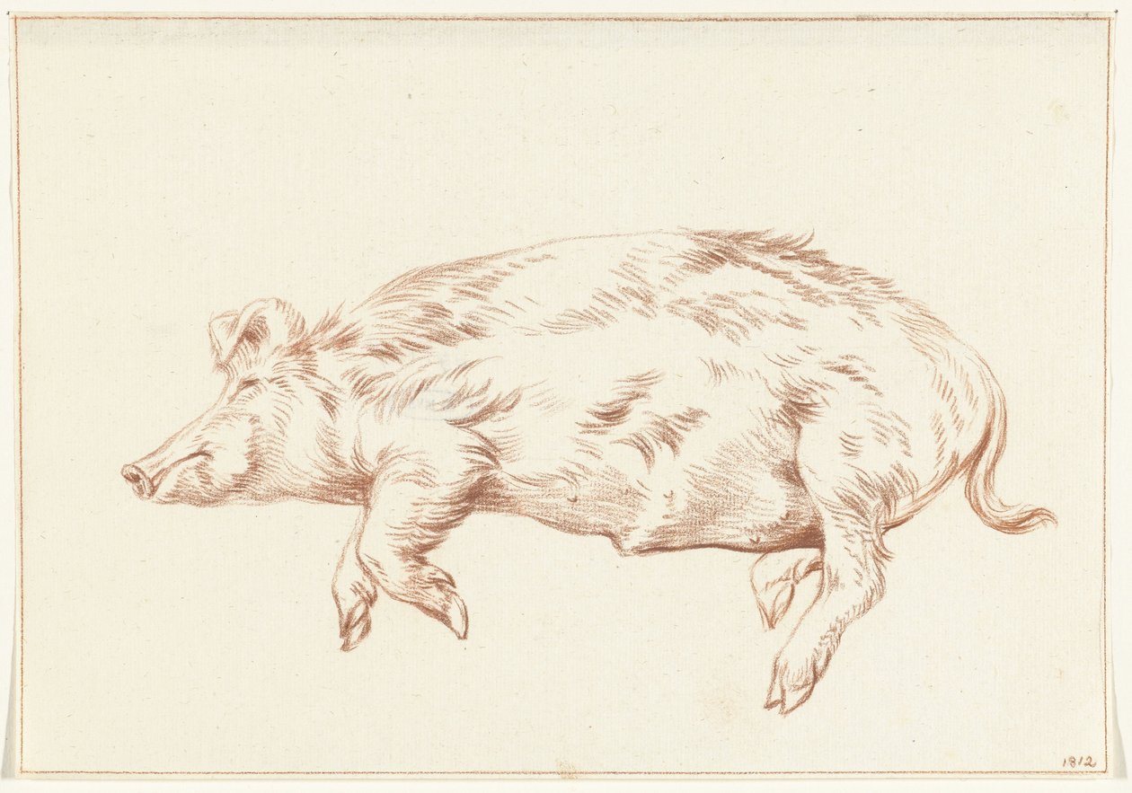 Cochon couché, vers la gauche - Jean Bernard