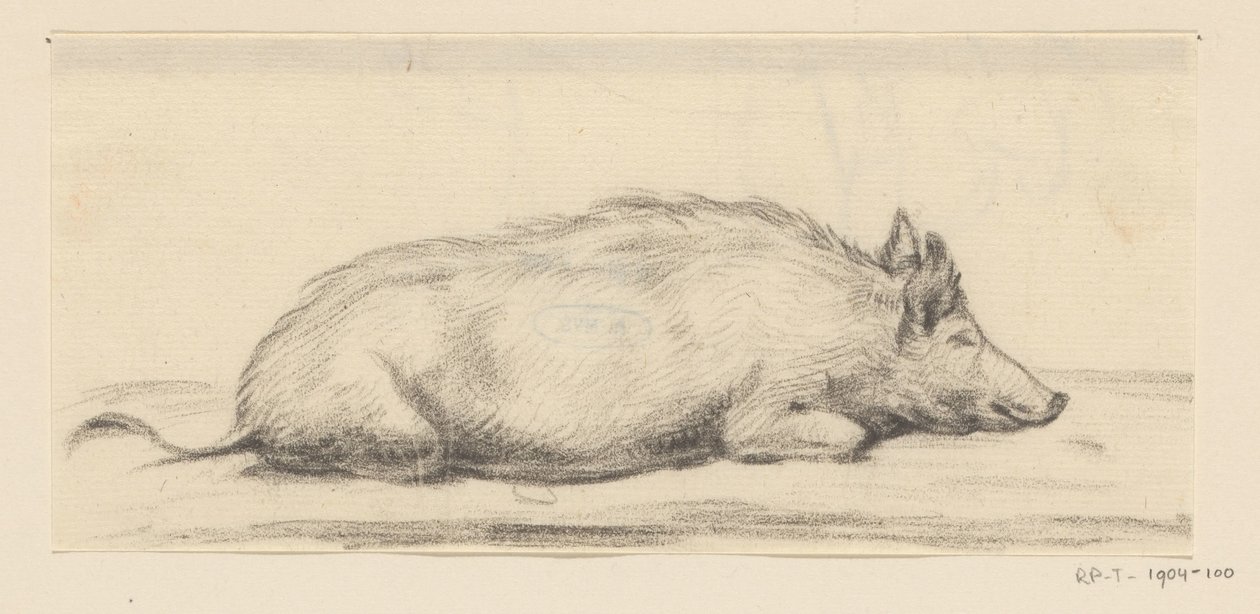 Cochon couché, vers la droite - Jean Bernard