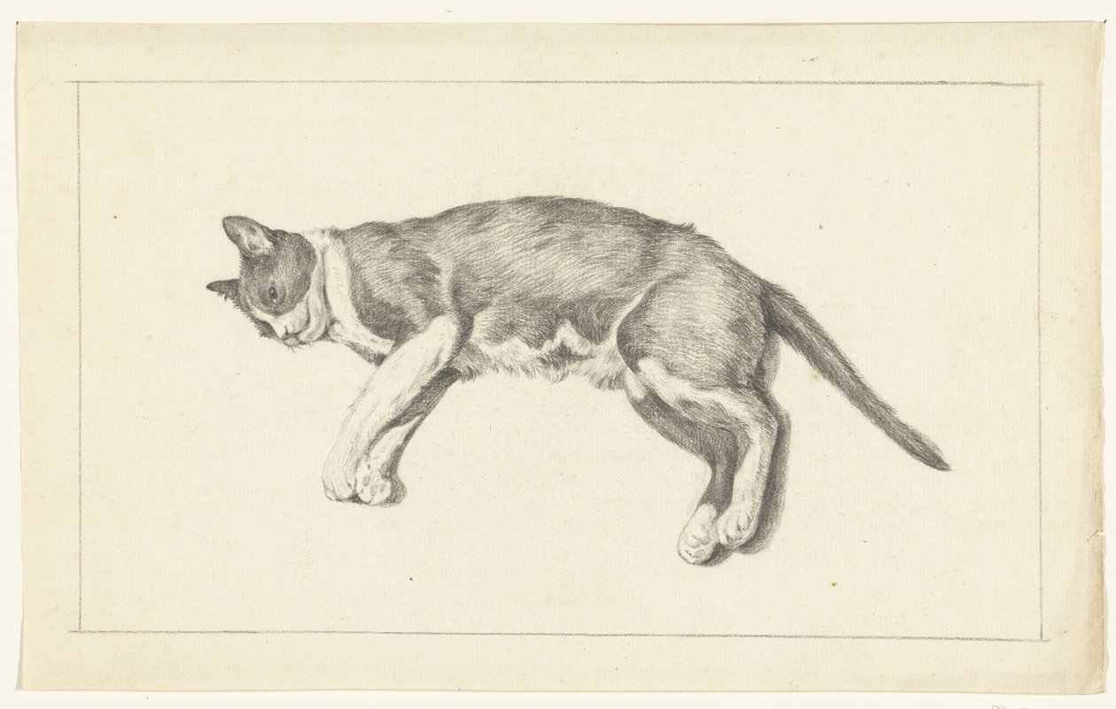 Chat couché, vu de gauche, de dessus - Jean Bernard