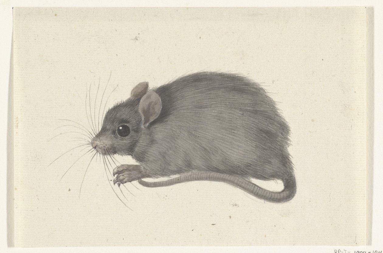 Souris, vers la gauche - Jean Bernard