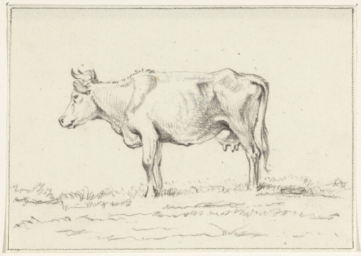 Vache debout, vers la gauche - Jean Bernard