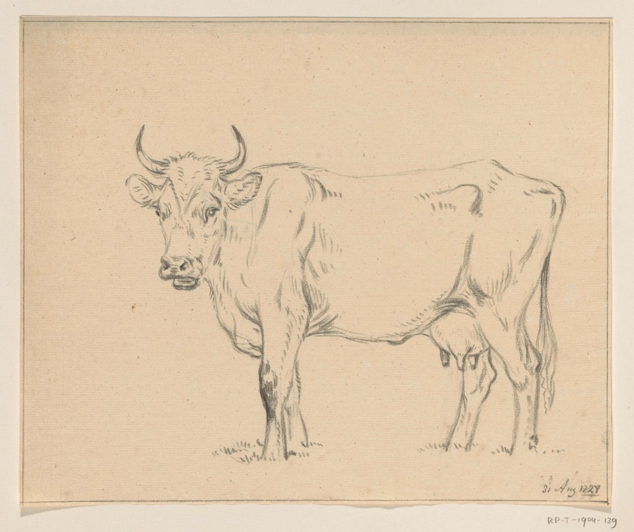 Vache debout, vers la gauche - Jean Bernard