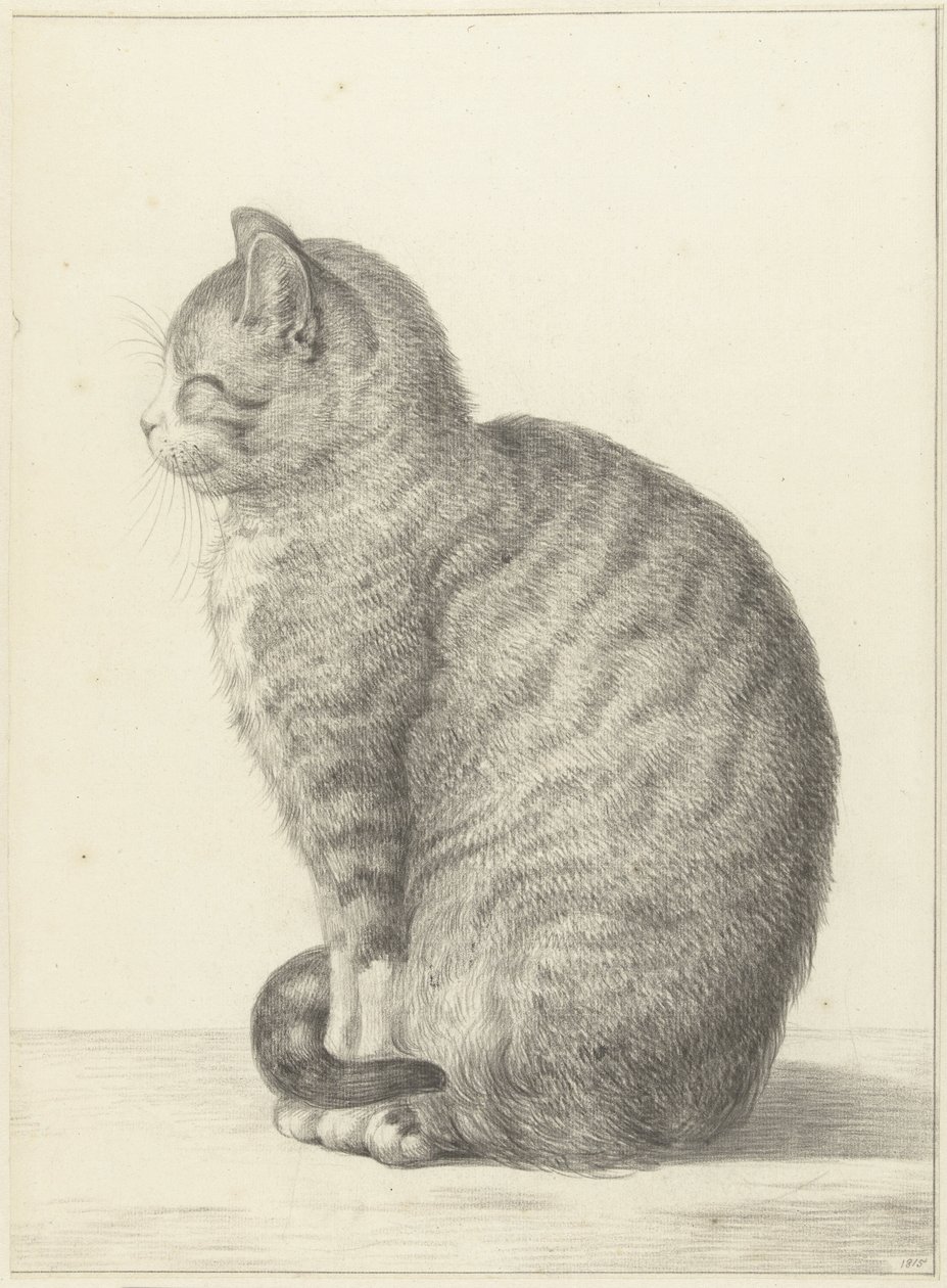 Chat assis, vers la gauche - Jean Bernard