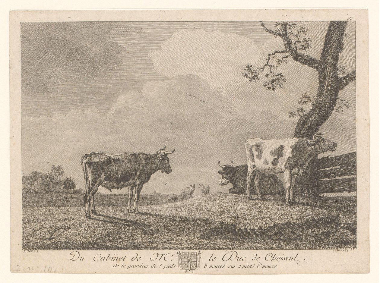 Trois vaches dans un pré - Jean Charles Baquoy