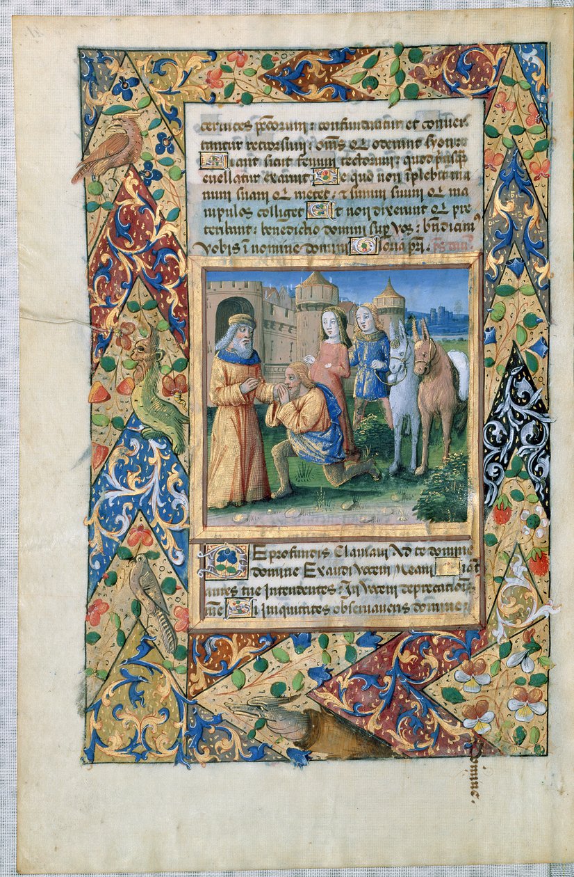 Ms Lat. Q.v.I.126 Scène des 