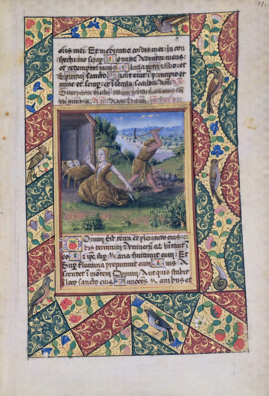Ms Lat. Q.v.I.126 fol.15 Adam et Ève travaillant, du Livre d