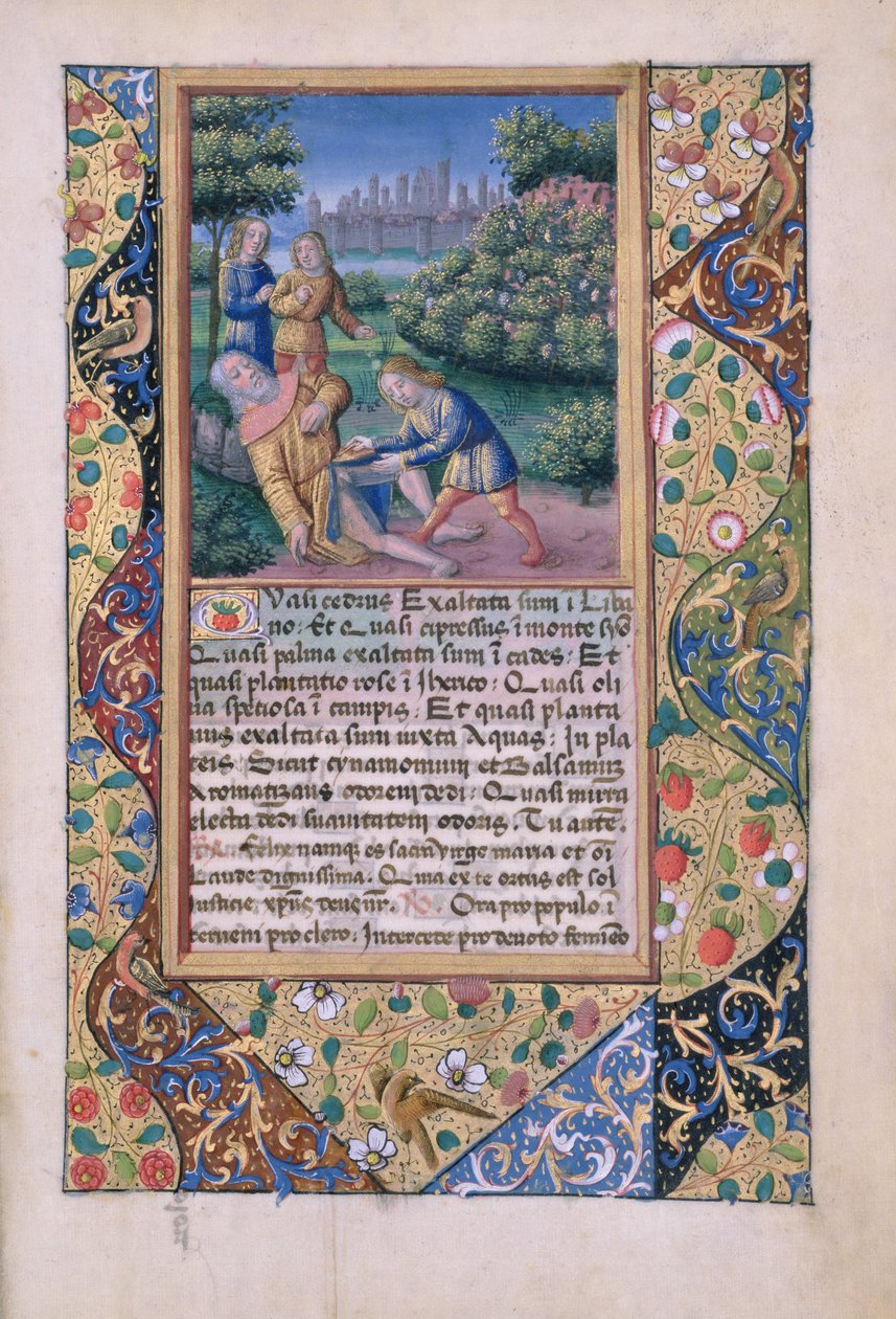 Ms Lat. Q.v.I.126 fol.17 L
