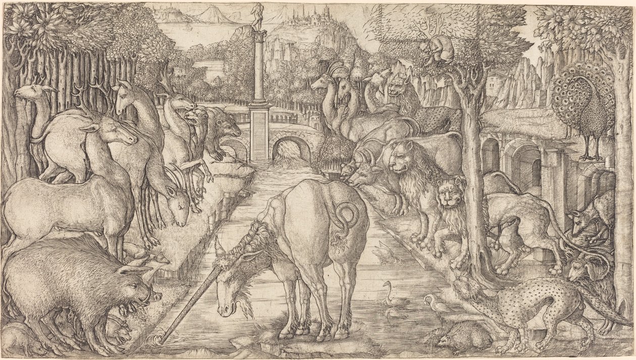 La licorne purifie l