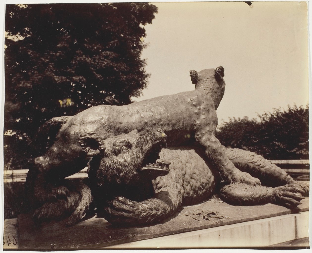 Versailles, Fontaine du Point du Jour, (Tigre Terrassant un Ours par Houzeau) - Jean Eugène Auguste Atget