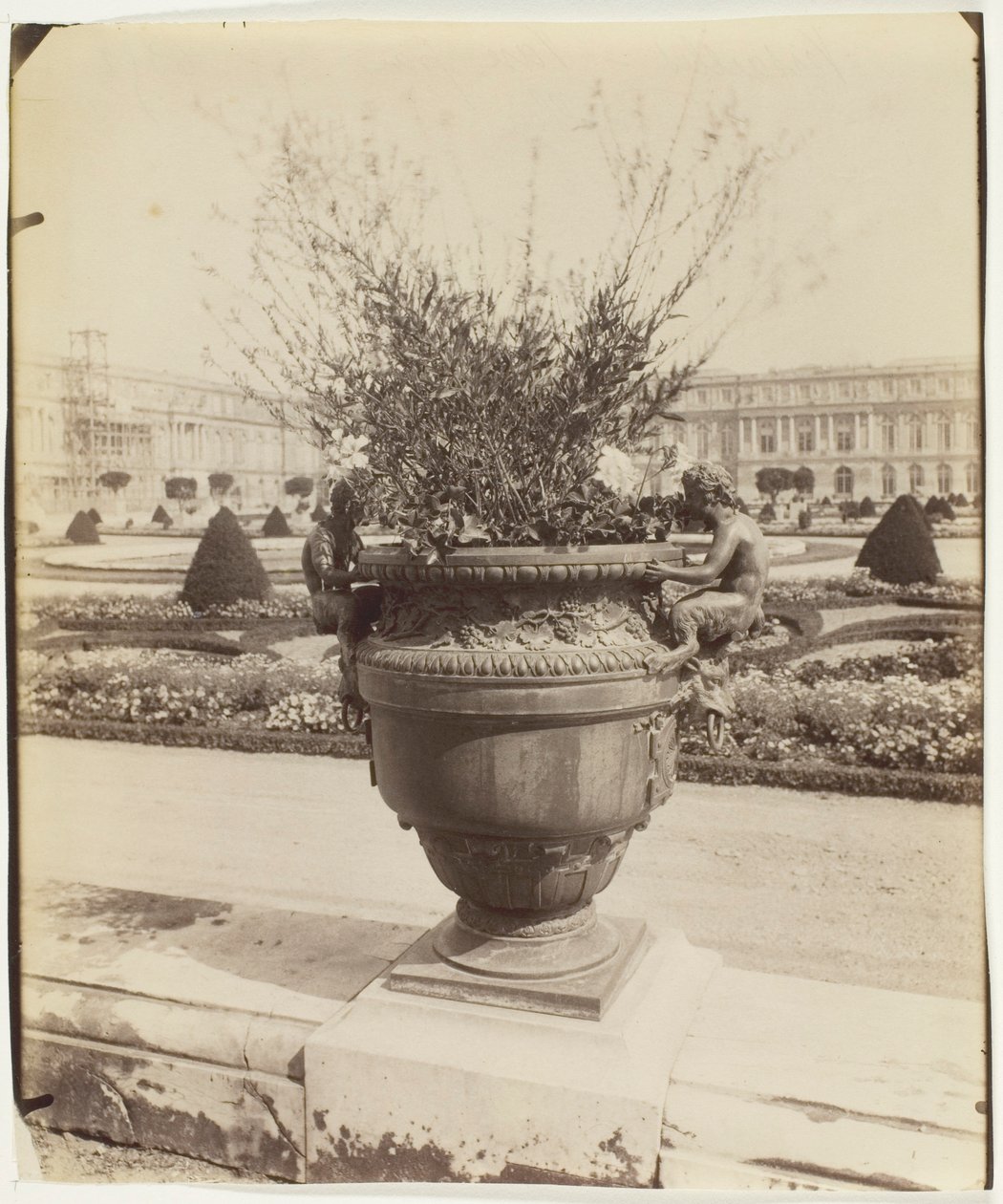 Versailles, Vase par Ballin - Jean Eugène Auguste Atget