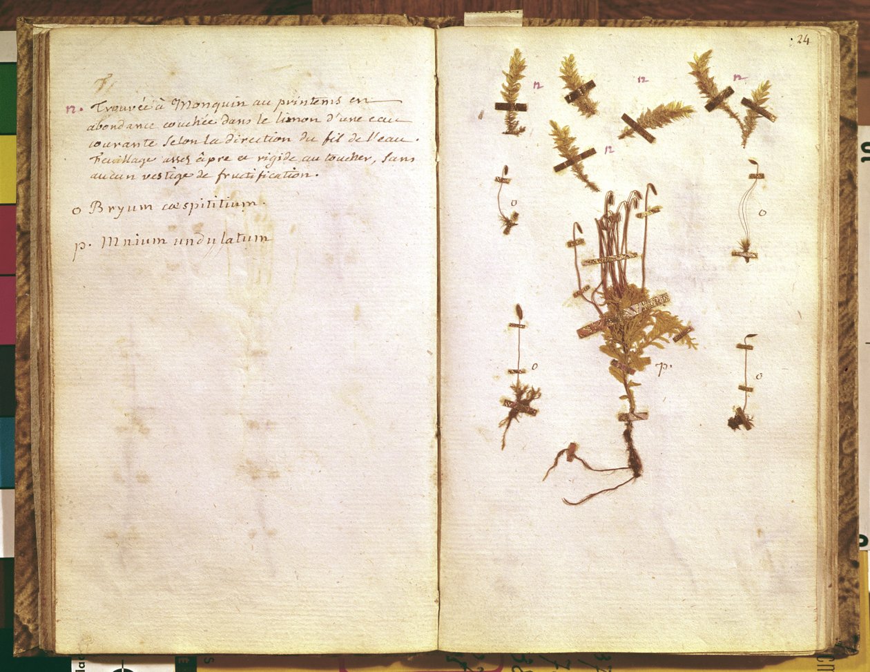 Page 24 d