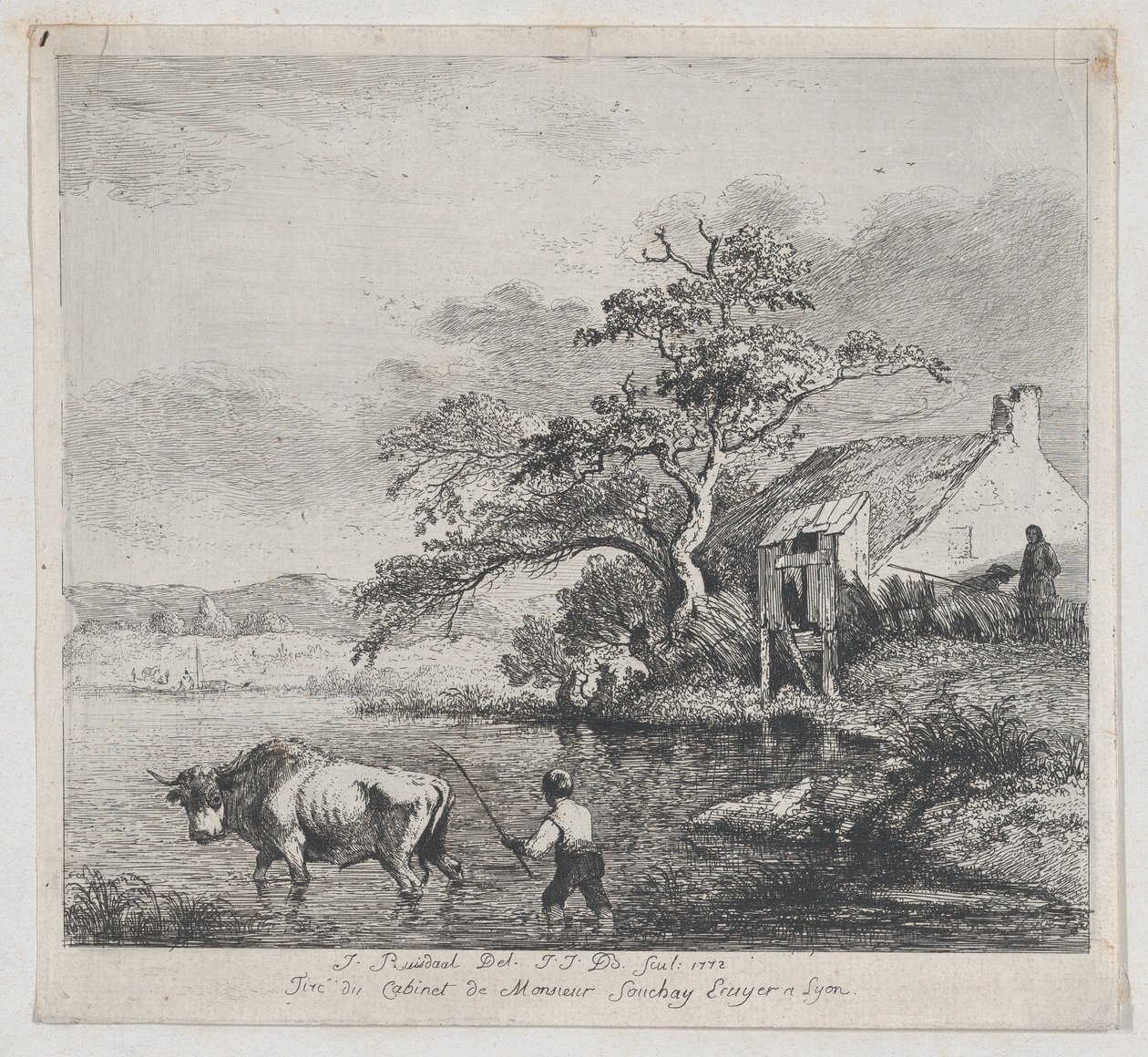 Bouvier et Taureau, d