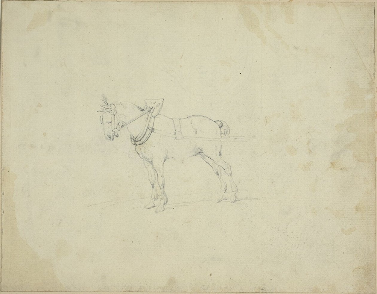 Cheval de trait - Jean Louis André Théodore Géricault