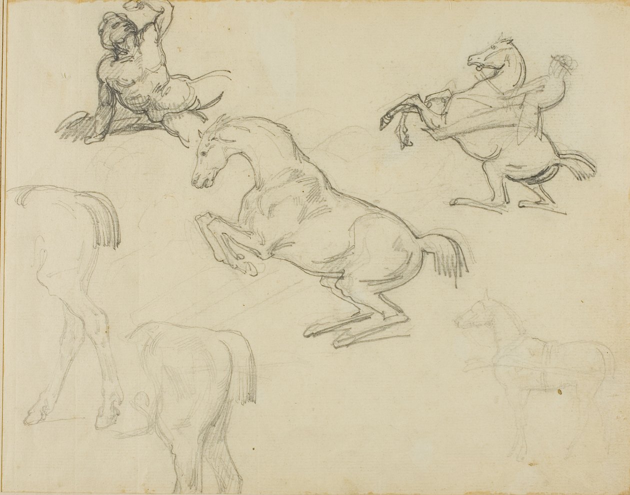 Esquisses : Nu couché, cavalier et divers chevaux - Jean Louis André Théodore Géricault
