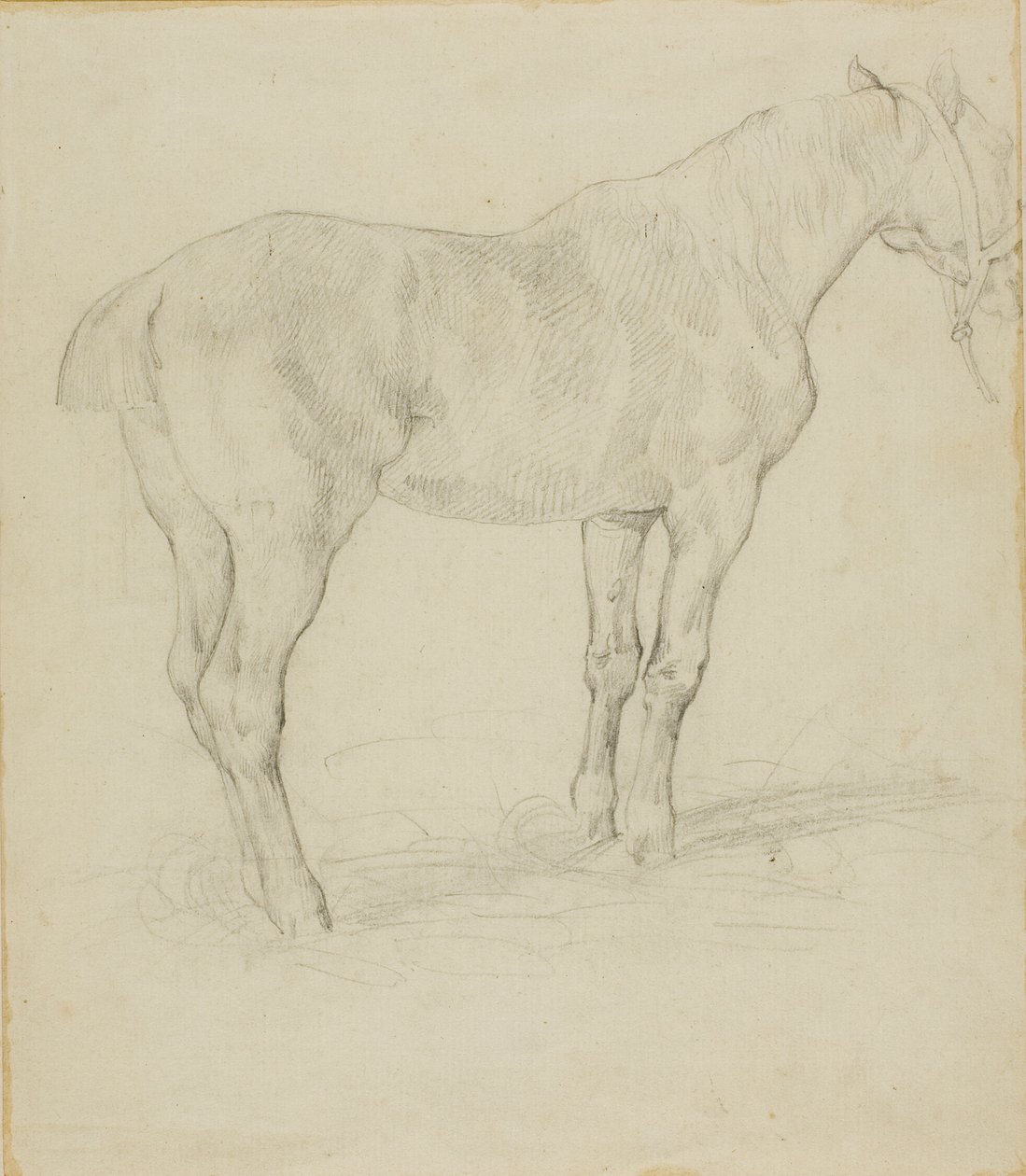 Cheval debout - Jean Louis André Théodore Géricault