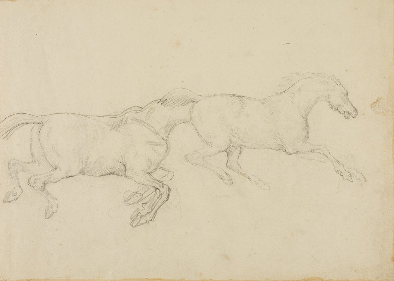 Deux chevaux galopant vers la droite - Jean Louis André Théodore Géricault