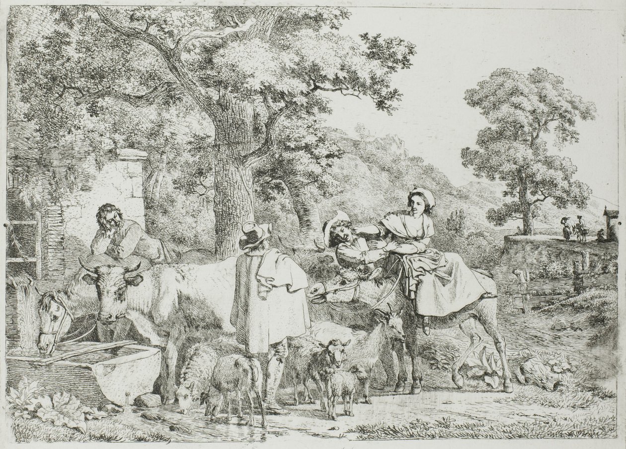 Vache et cheval à l