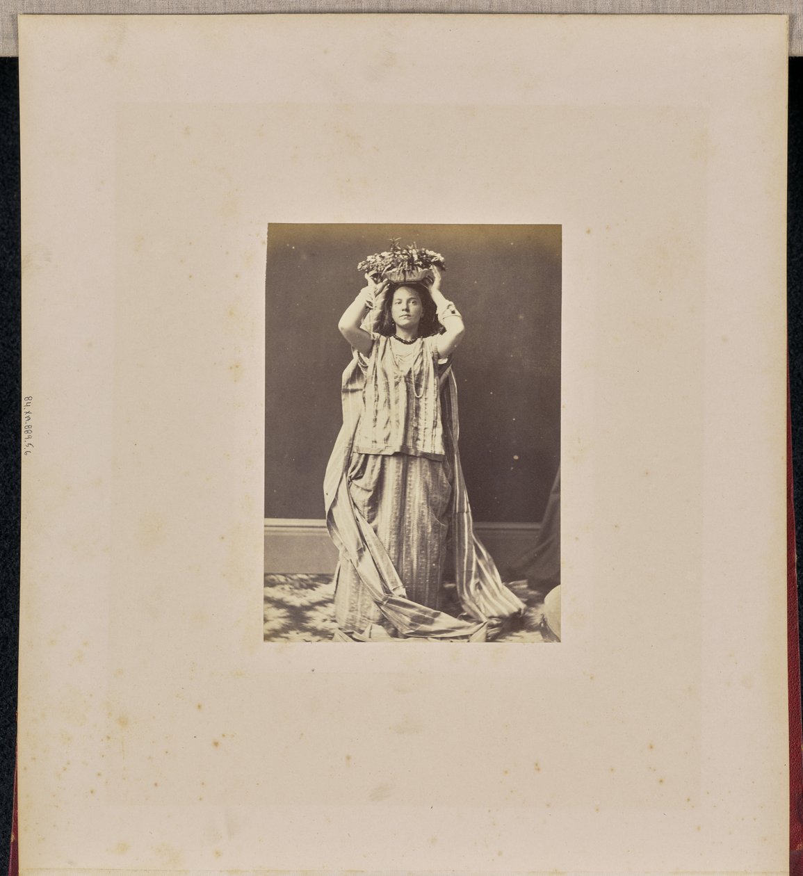 [Portrait d