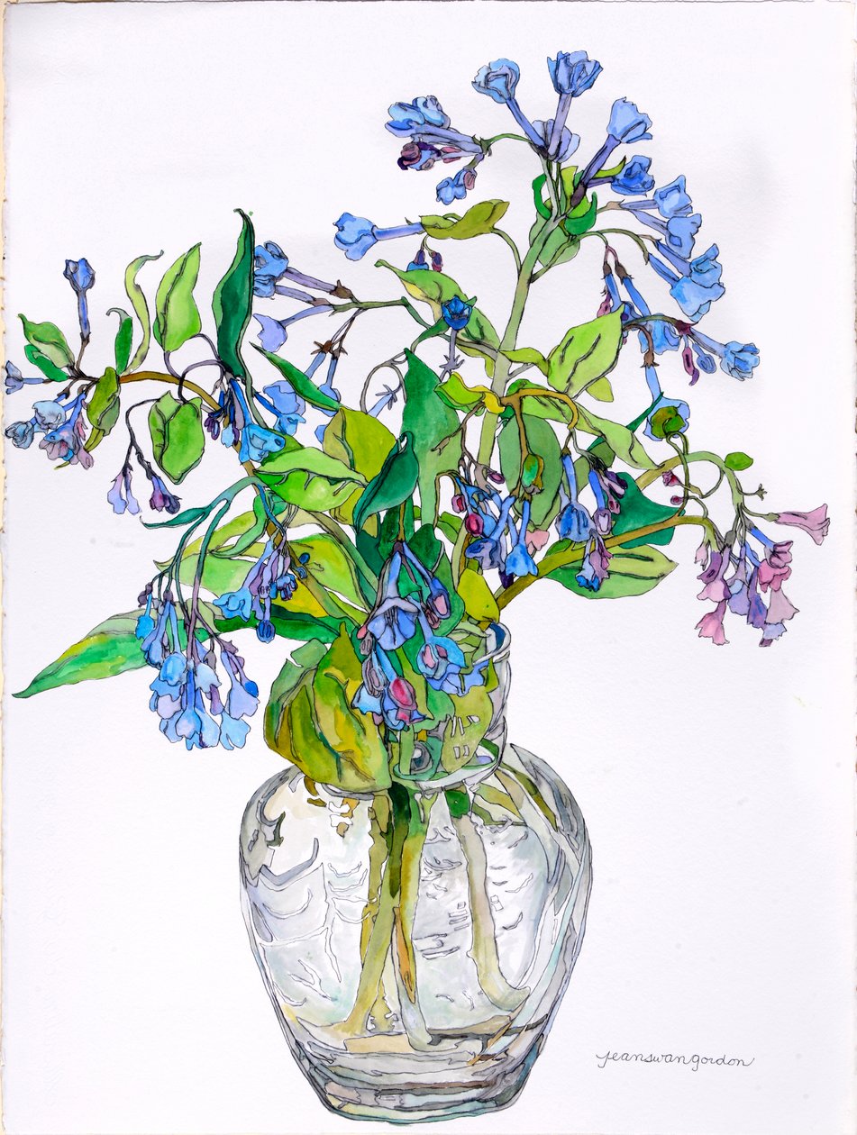Cloches bleues de Virginie dans un vase à col étroit, 2006 (aquarelle et encre sur papier) - Jean Swan Gordon
