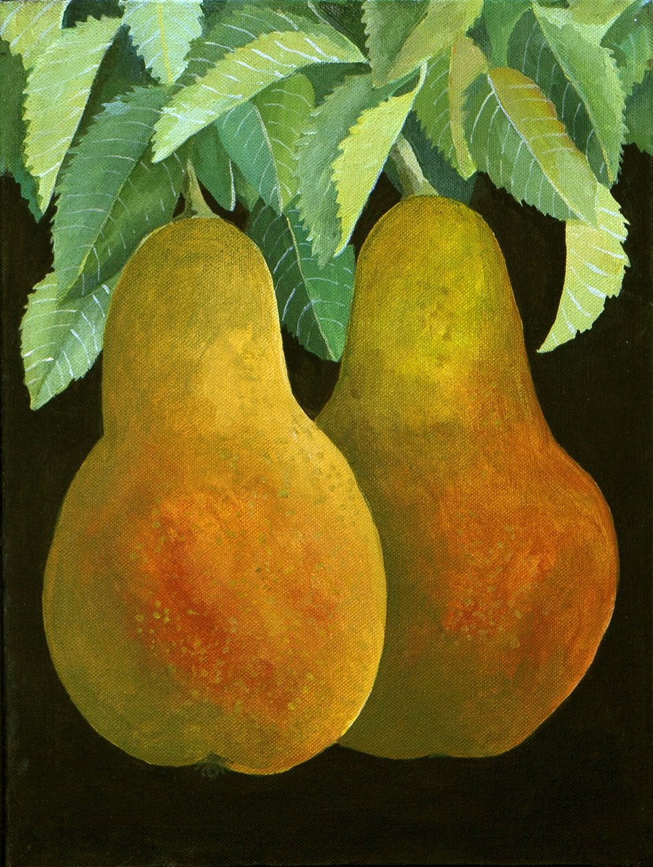 Poires, 2014 (acrylique sur toile) - Jennifer Abbott