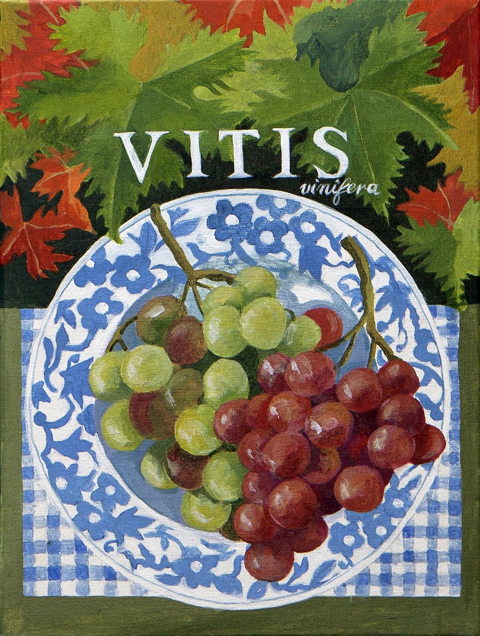 Vitus (raisins), 2014 (acrylique sur toile) - Jennifer Abbott