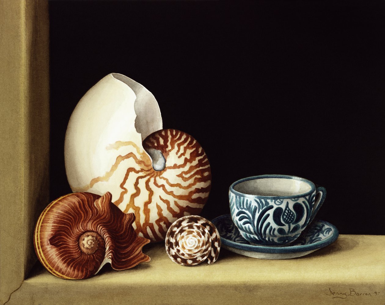 Nature morte avec nautile - Jenny Barron