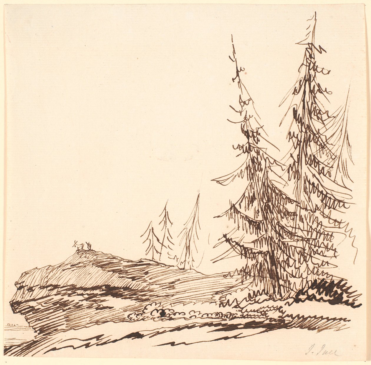 Un promontoire rocheux avec des sapins - Jens Juel