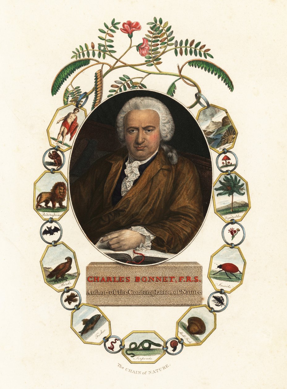 Portrait de Charles Bonnet, naturaliste genevois - Jens Juel