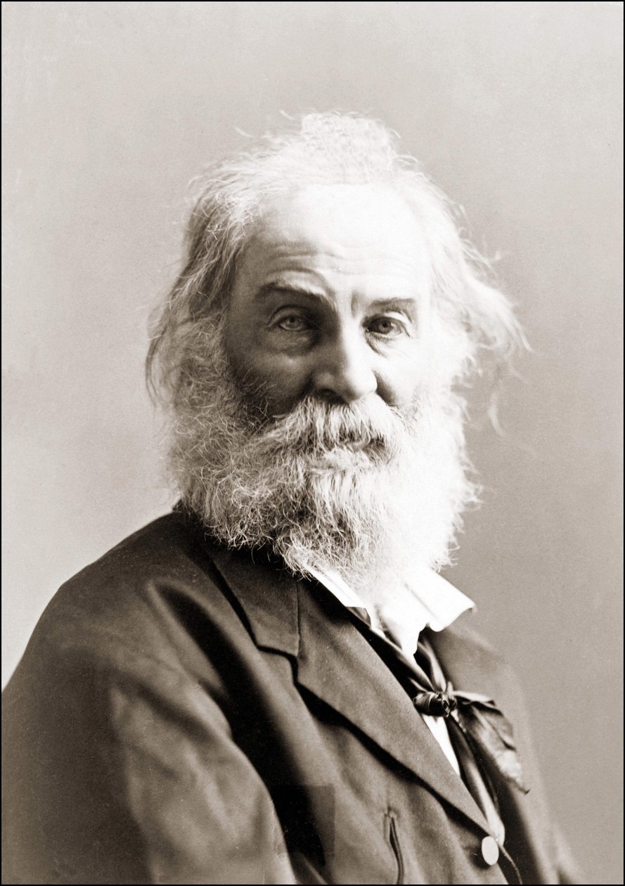 Portrait de Walt Whitman (1819 - 1892) par Gurney entre 1880 et 1890 - Jeremiah Gurney