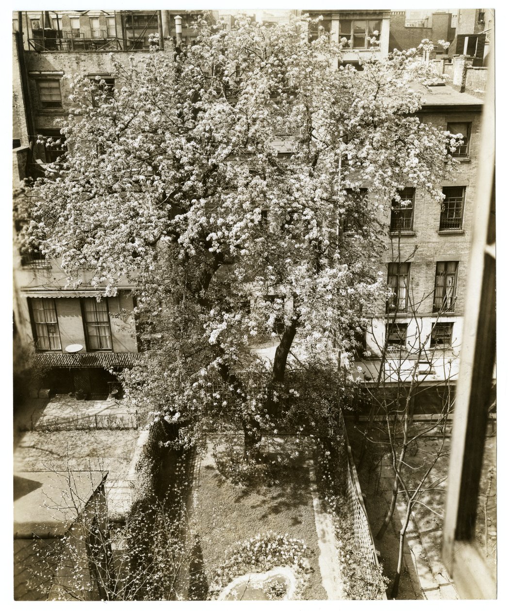 Mme W H Wells 265 W 11th - Jessie Tarbox Beals