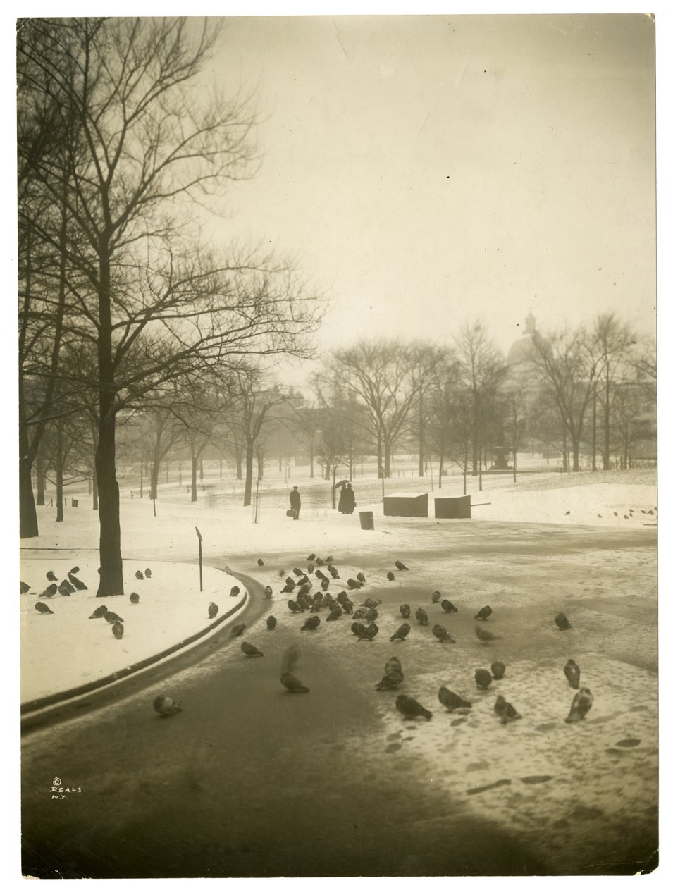 Un froid inhabituel dans le Common, Boston, USA, vers 1902-10 - Jessie Tarbox Beals