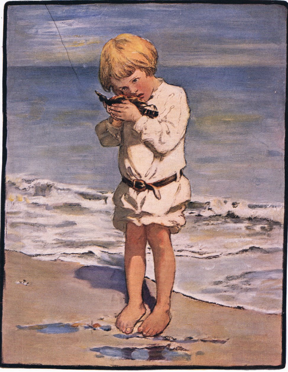 La découverte de Billy était une mouette, avec une aile blessée - Jessie Willcox Smith