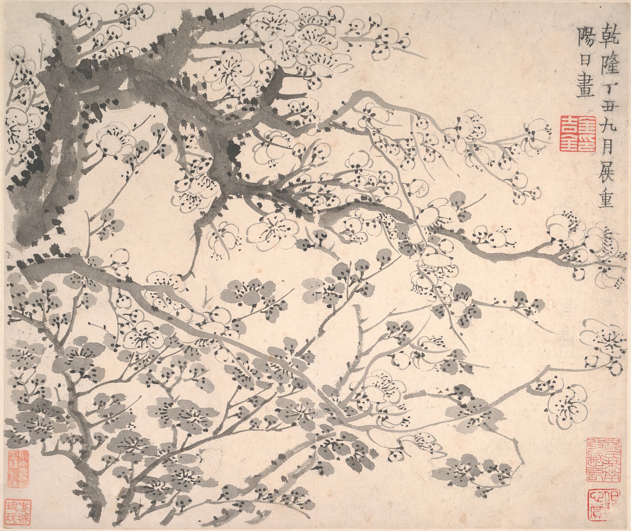 Fleurs de prunier - Jin Nong