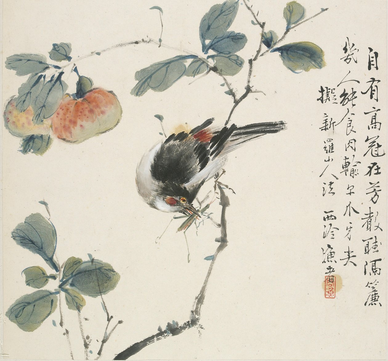 Un Hwamei chinois mangeant une sauterelle - Jin Yuan