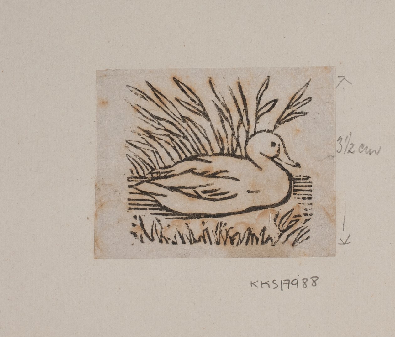 Un canard - Joakim Frederik Skovgaard