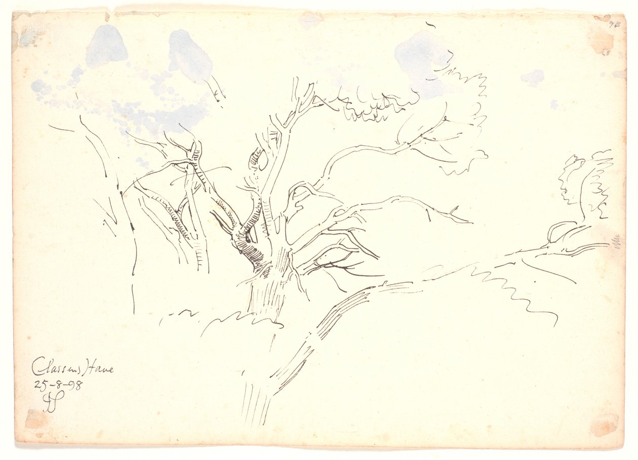 Études de branches. Jardin de Classen - Joakim Frederik Skovgaard