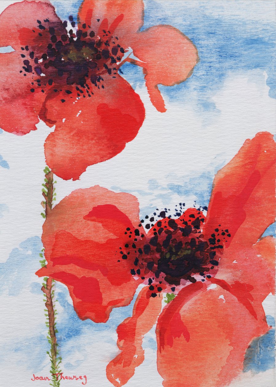 Coquelicots - Joan Thewsey